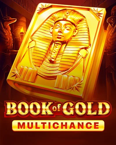 Book Of Gold Multichance