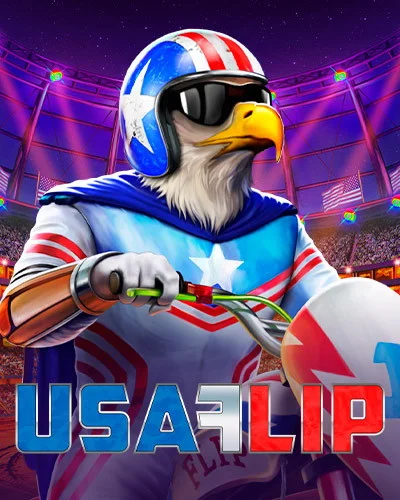 Usa Flip